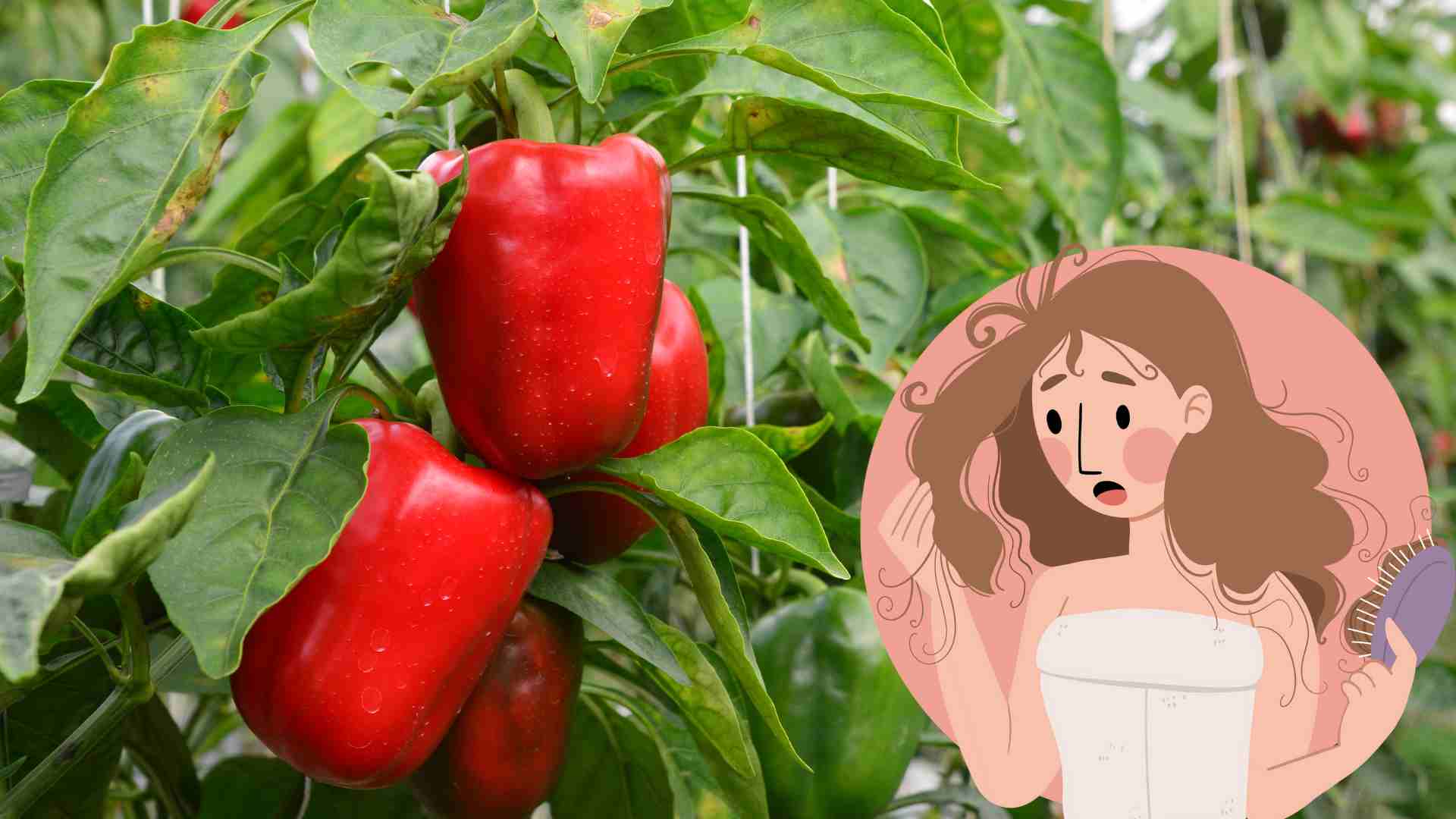 Tell you about familiar fruits and vegetables that are very effective in treating hair loss.