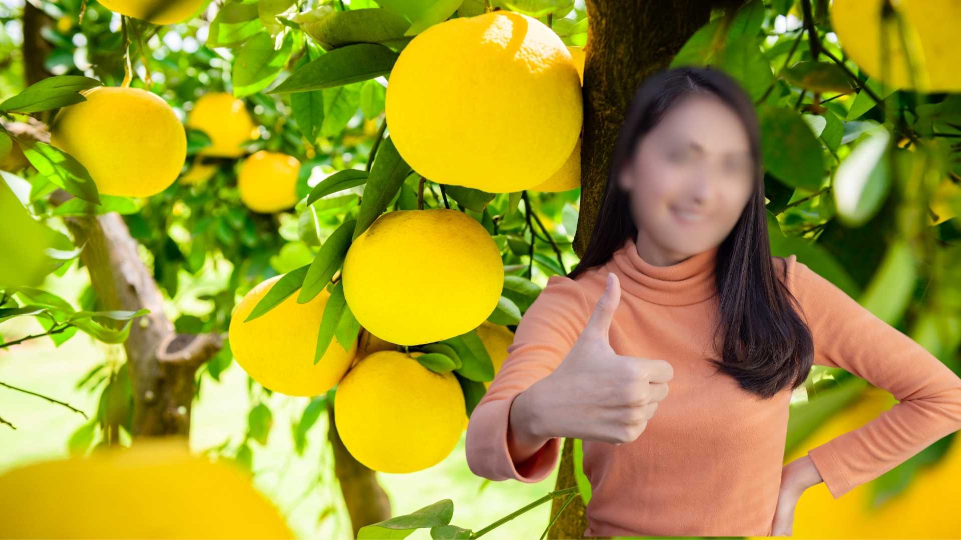 Eating grapefruit is very good, eating it at the right time is even better