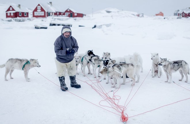 Tỉ lệ bất ngờ người dân Greenland muốn sáp nhập Mỹ