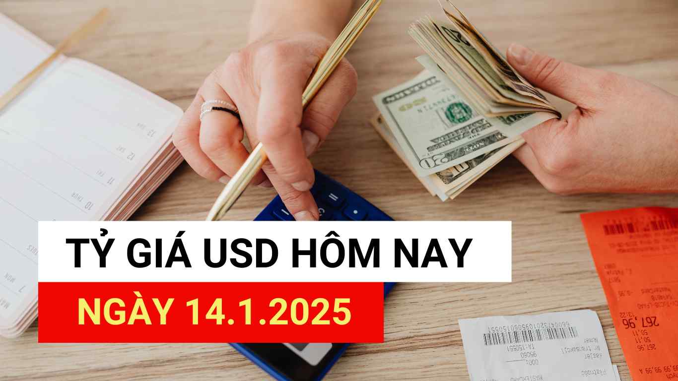 USD exchange rate today 14.1.2025.