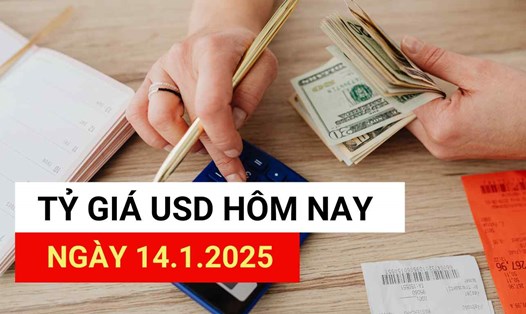 Tỷ giá USD hôm nay 14.1.2025.