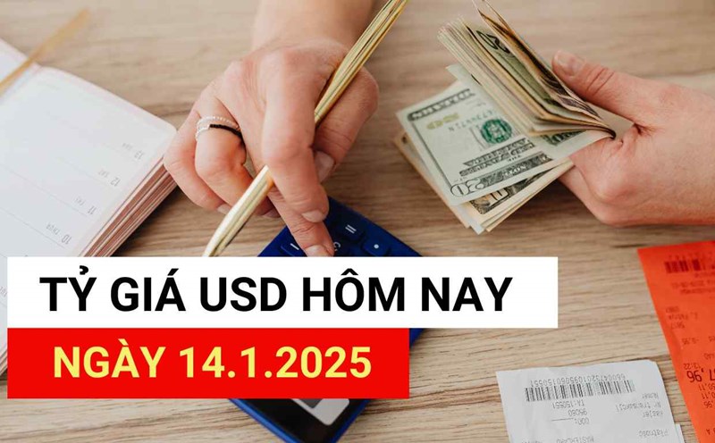 USD exchange rate today 14.1.2025.