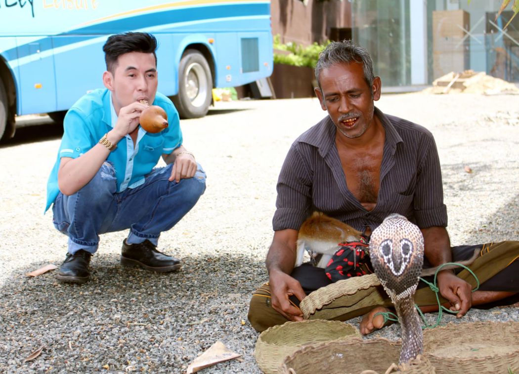 Vietnamese tourists experience snake hypnosis performance in Sri Lanka. Photo: Doan Phuoc Truong