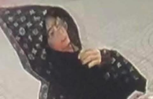 Suspected kidnapper of 4-year-old child in Thuy Nguyen, Hai Phong. Photo: Family provided