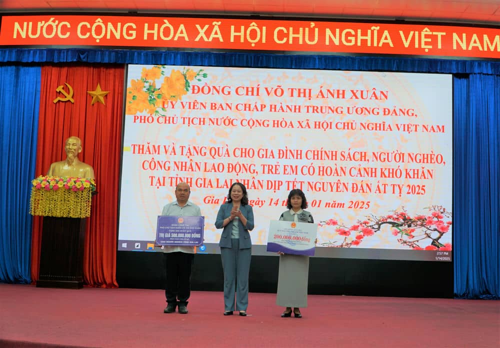 Phó Chủ tịch nước trao bảng hiệu tặng 500 suất quà cho người nghèo tại Gia Lai. Ảnh: Thanh Tuấn 