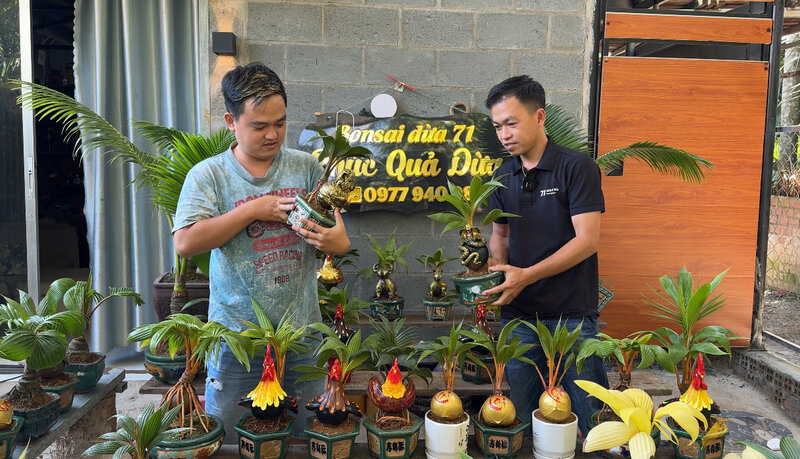 Coconut bonsai combined with mascots is a hot item in the North. Photo: Hoang Loc
