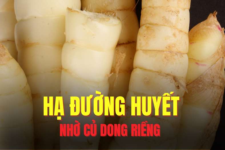 Arrowroot has the ability to effectively support lowering blood sugar. Graphics: Hai Ly