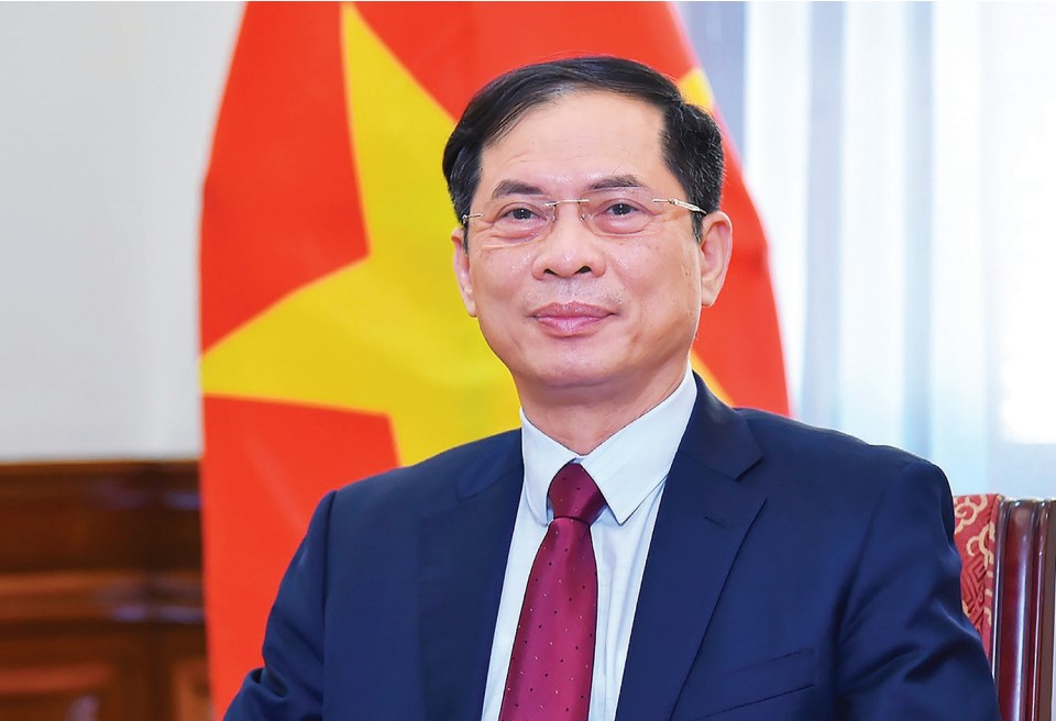 Member of the Party Central Committee, Deputy Prime Minister, Minister of Foreign Affairs Bui Thanh Son. Photo: VGP