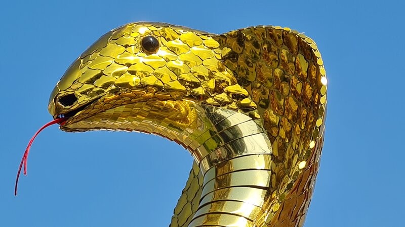 Close-up of the head of the snake mascot in Bac Lieu. Photo: Nhat Ho