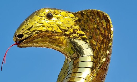 Cận cảnh phần đầu linh vật rắn tại Bạc Liêu. Ảnh: Nhật Hồ