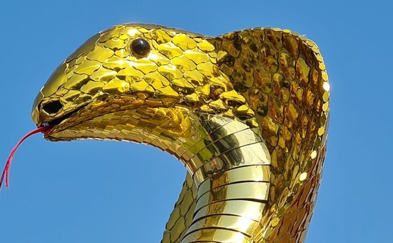 Close-up of the head of the snake mascot in Bac Lieu. Photo: Nhat Ho