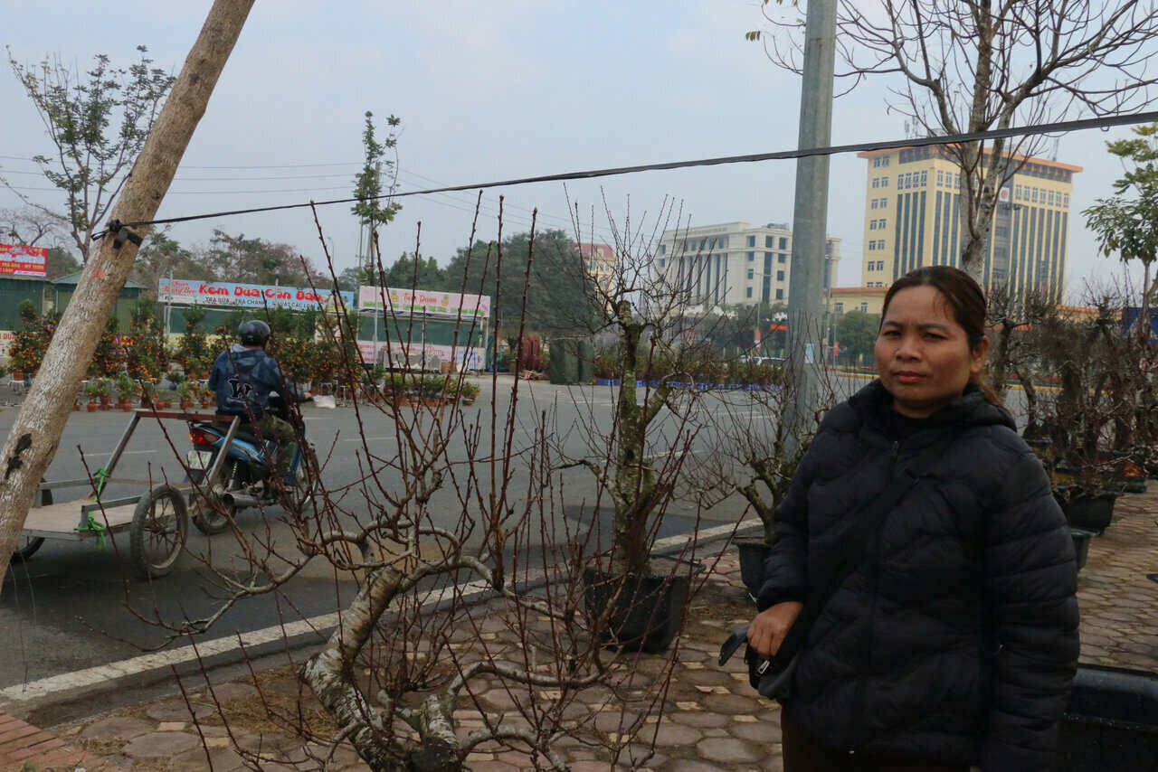 Theo chi Diu, thoi diem nay nam ngoai, nguoi dan sam Tet dong duc nhung nam nay thi truong tram lang. Anh: Yen San