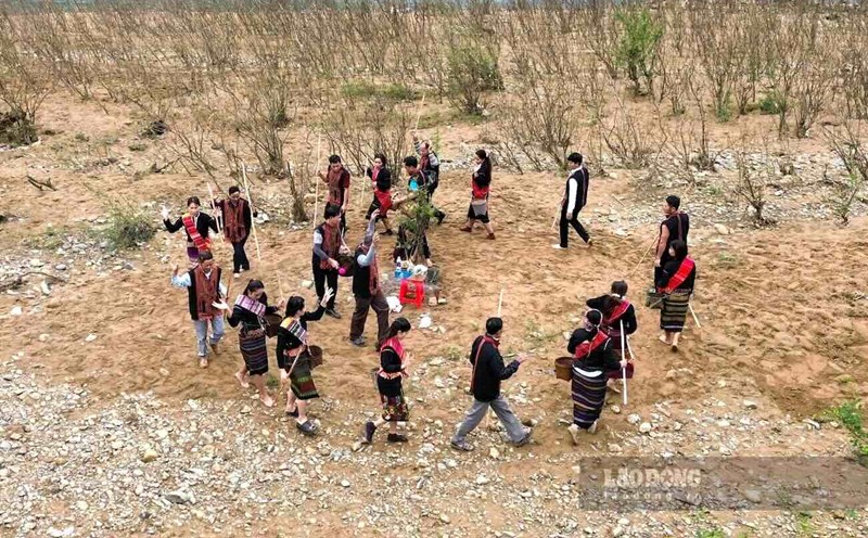 Unique rice planting festival of the Bru - Van Kieu people. Photo: Cong Sang