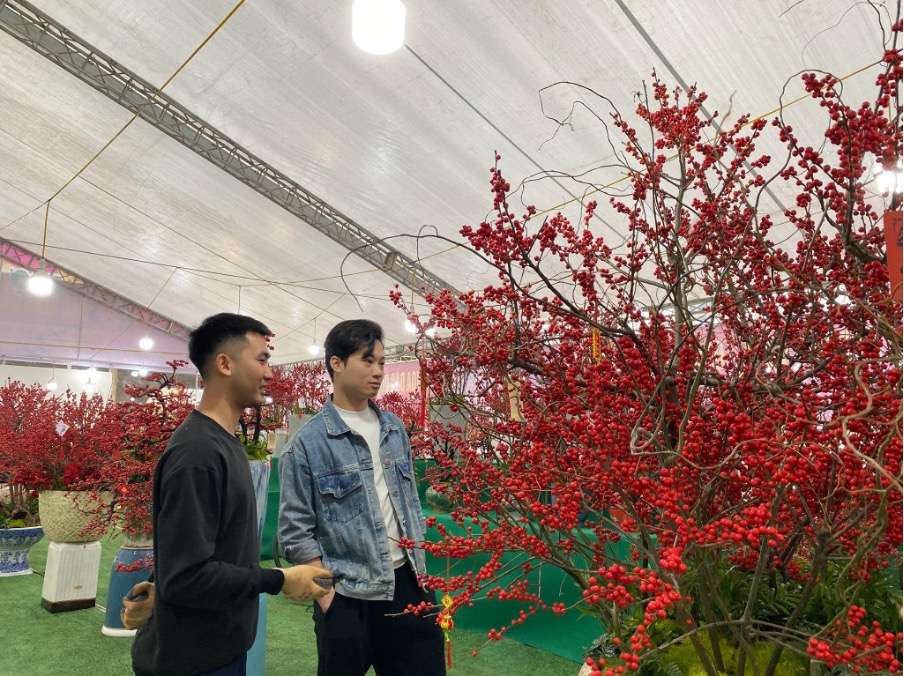 Thoi diem hien tai chu yeu khach toi xem, mua dao dong de bieu, tang va de o van phong. Anh: Ngoc Mai 