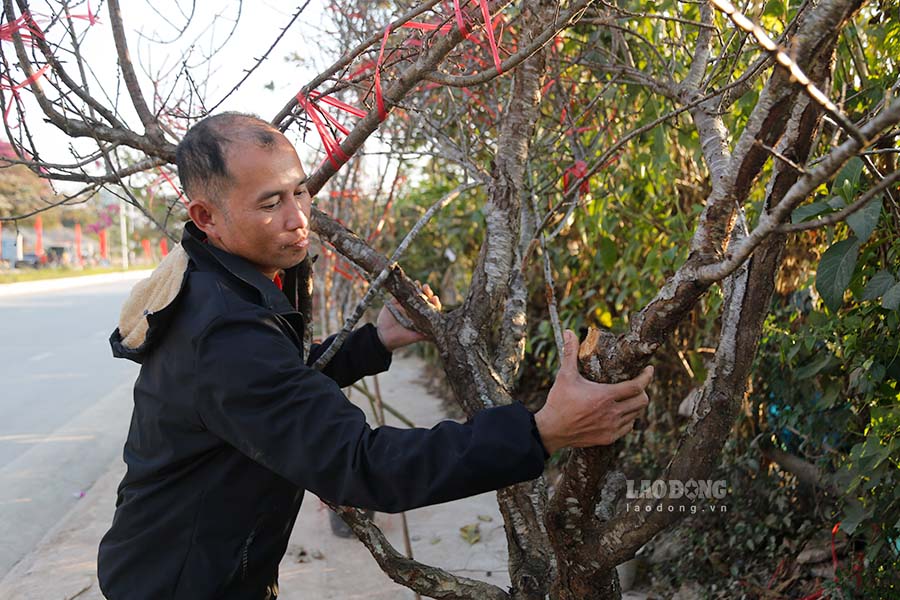 Theo cac tieu thuong, khoang cach giua gia mua tu nguoi dan vung cao va gia ban ra cung khong chenh lenh nhieu.