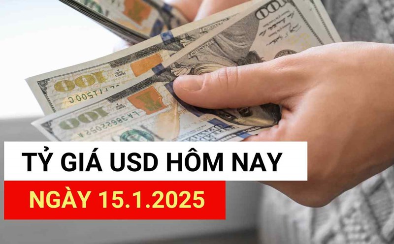 USD exchange rate today 15.1.2025.