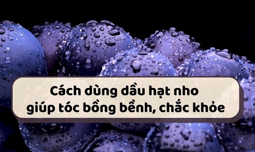 Dầu hạt nho giúp tóc bồng bềnh, chắc khỏe.