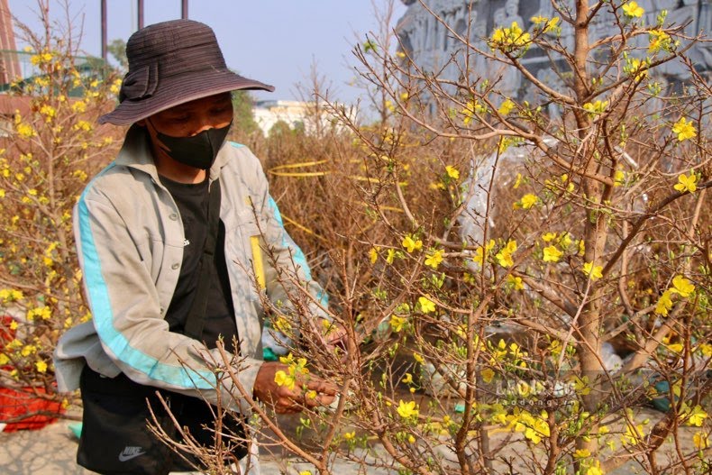 Apricot and peach blossoms are sold all over the streets in Thai Nguyen. Photo: Lam Thanh