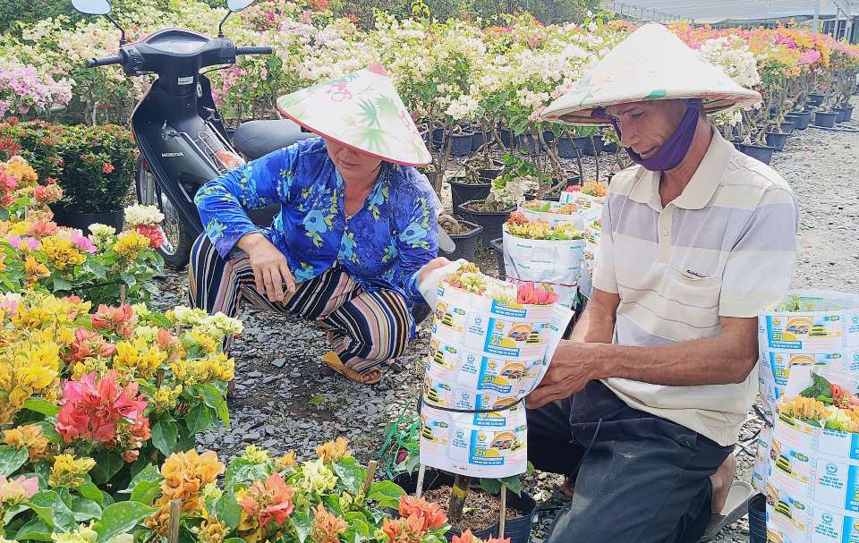 Nong dan Lang hoa Sa Dec goi hoa giao cho thuong lai. Anh: Thanh Thanh