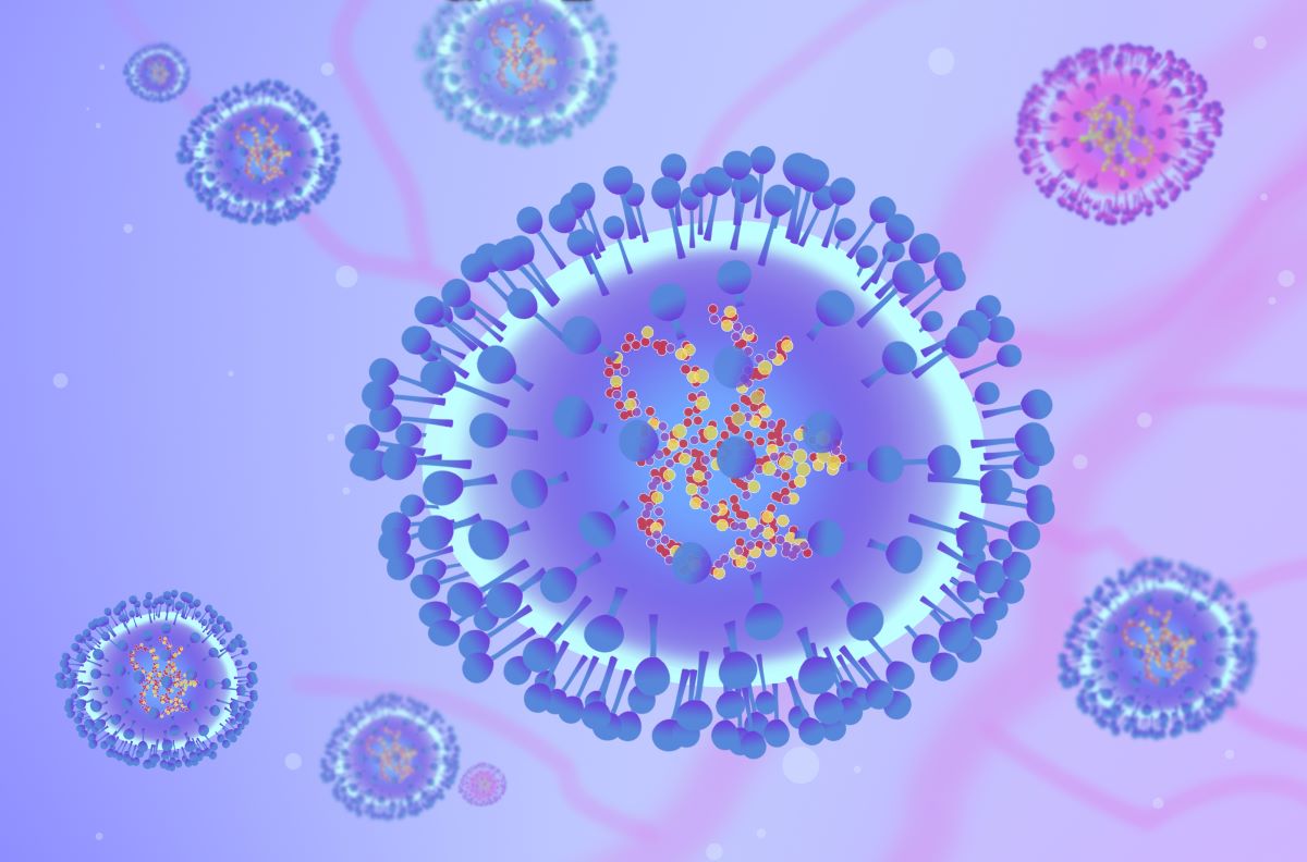 Hai Duong proactively responds to HMPV epidemic. Photo: VCG