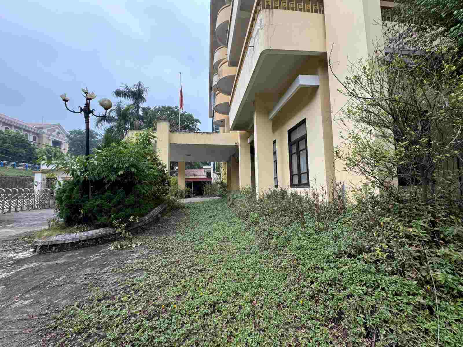 Weeds cover the walkways and main lobby of the building. Photo: Khanh Linh