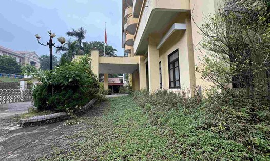 Cỏ dại bao trùm lối đi và sảnh chính của tòa nhà. Ảnh: Khánh Linh