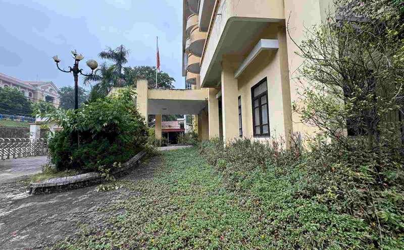 Weeds cover the walkways and main lobby of the building. Photo: Khanh Linh