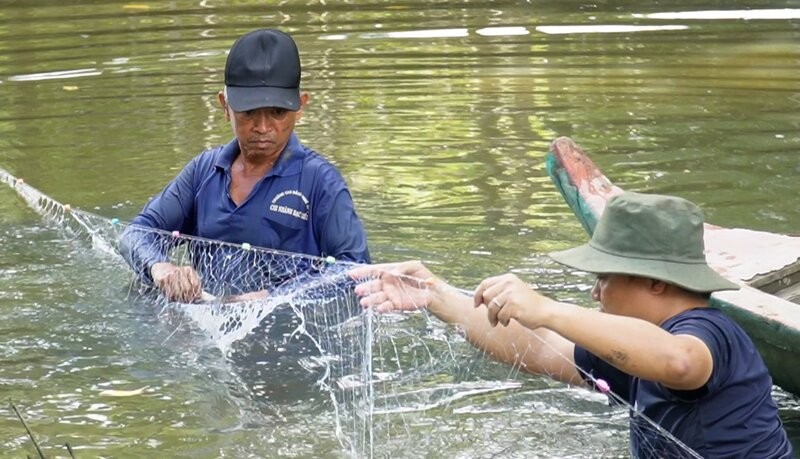 Nguoi nao khong mo bat ca duoc thi cung di giang luoi.