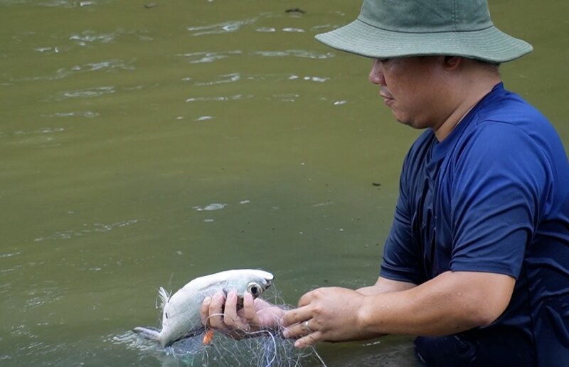 Niem vui khi tu tay minh go ca dinh luoi.