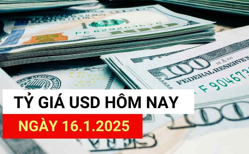 USD exchange rate today 16.1.2025.