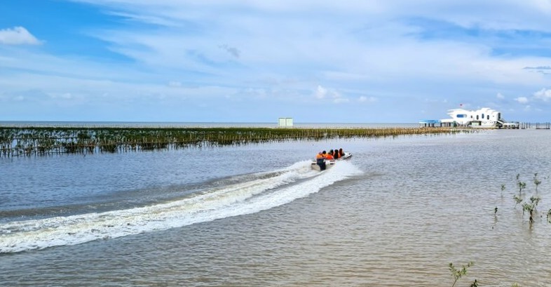From Ca Mau cape looking out to sea. Photo: Nhat Ho