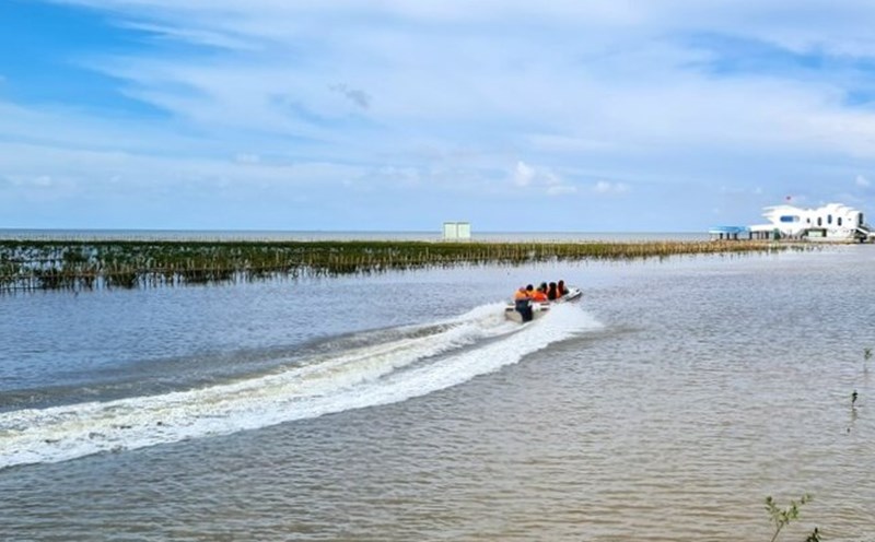 From Ca Mau cape looking out to sea. Photo: Nhat Ho