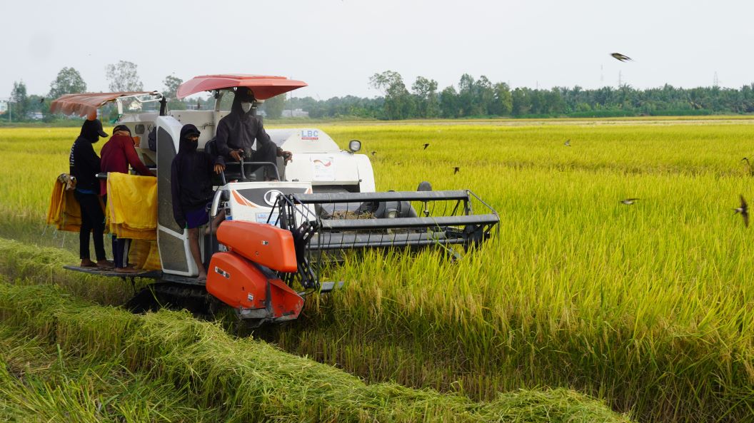 Farmers profit from rice cultivation to reduce emissions