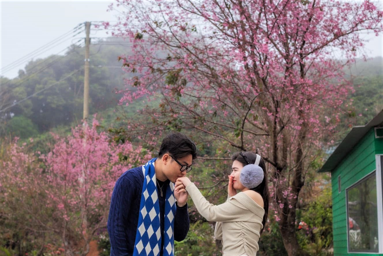 Thoi tiet Da Lat nhung ngay nay tuy khong nang nhieu, sang som thuong co suong mu nhung van thu hut cac ban tre, gia dinh, cap doi chup cuoi den chup anh, kham pha mua lanh dac trung cua pho nui. Anh: Pham Kim Nhan