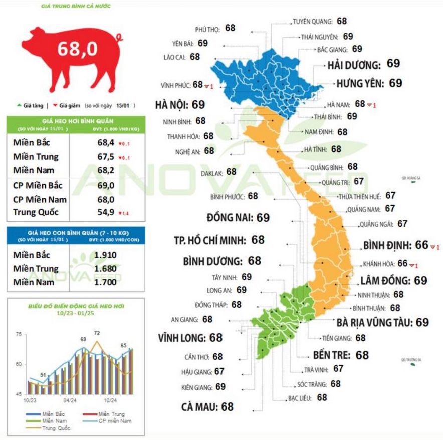 Cap nhat gia lon toan quoc ngay 16.1.2025. Nguon: Anova Feed
