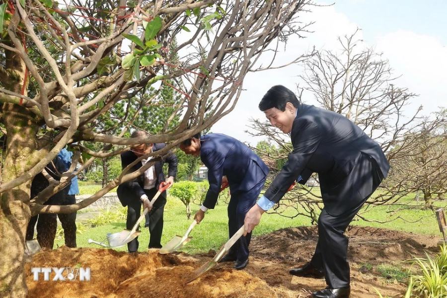 Chu tich nuoc Luong Cuong trong cay luu niem tai Khu tuong niem Thu tuong Vo Van Kiet o Khom 2, thi tran Vung Liem, huyen Vung Liem. Anh: Lam Khanh/TTXVN 