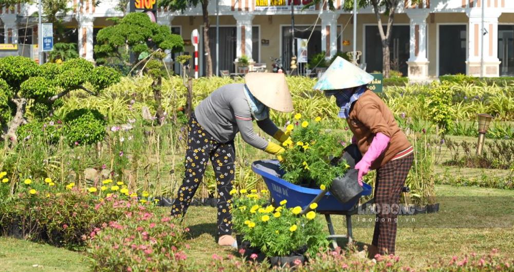 Du dang trong qua trinh hoan thien them khau trang tri tieu canh xung quanh cung nhu bay tri cac loai hoa phia chan tuong ran nhung nhieu nguoi dan da thich thu tim den check-in som. 