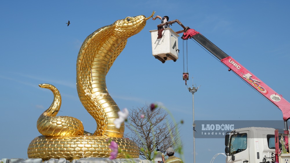 “Baby Na” is jokingly called the final boss by many people because of her golden, sparkling appearance. Photo: Nguyen Anh