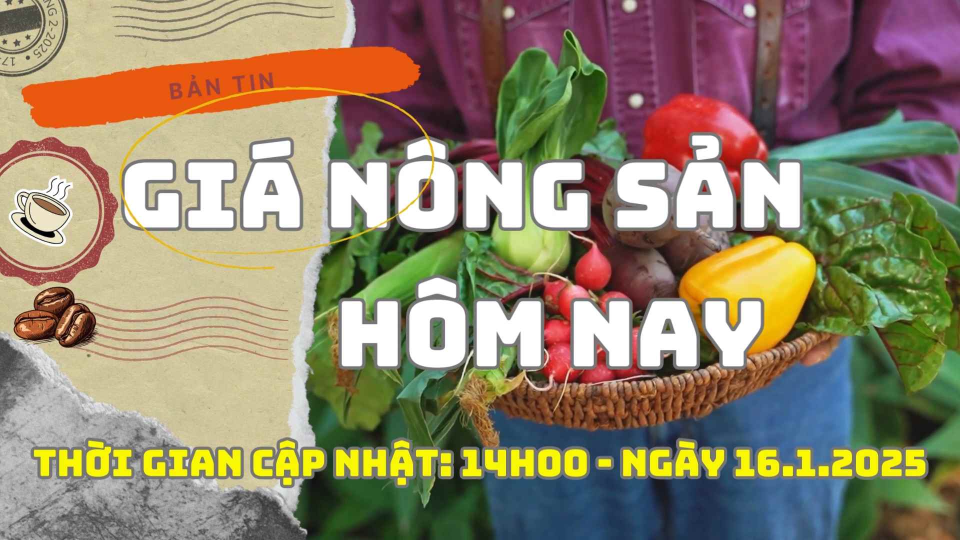 Agricultural product prices today, January 16, 2025. Photo: Bao Lam