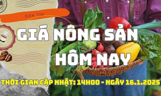 Giá nông sản hôm nay ngày 16.1.2025. Ảnh: Bảo Lâm