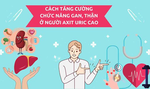 Chức năng gan, thận có liên quan đến axit uric cao. Đồ họa: Hạ Mây