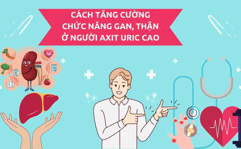 Liver and kidney function are linked to high uric acid. Graphics: Ha May