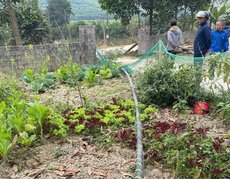 Hien truong noi dung cay neu choi Tet, khien mot nguoi bi dien giat tu vong. Anh: Nguoi dan cung cap