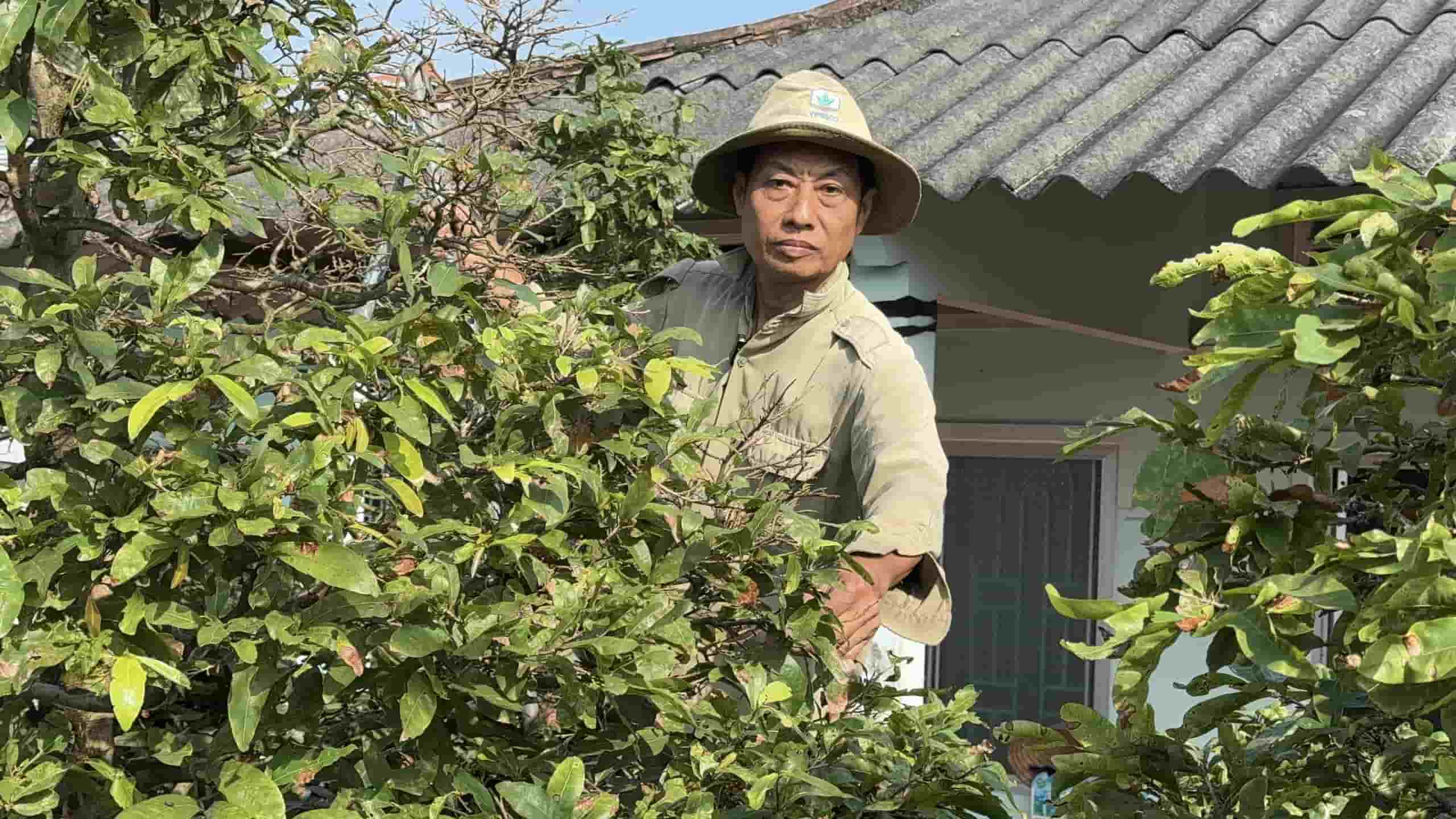 Ong Dam khong khoi lo lang cho vu mai vang Tet nam nay. Anh: Hoang Loc