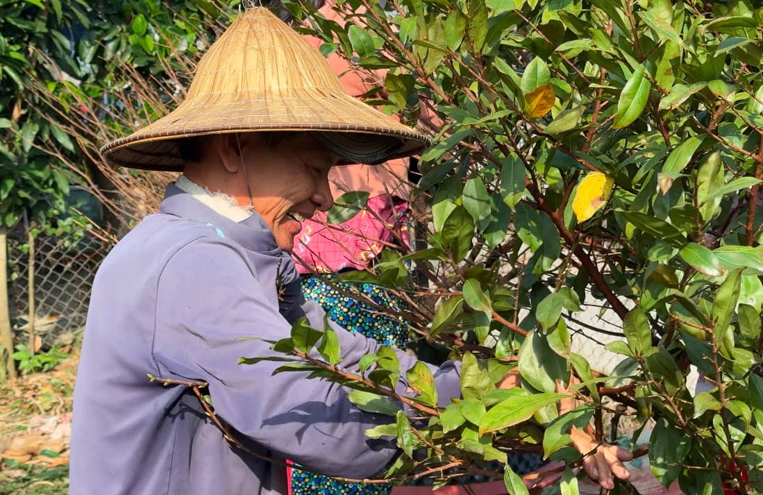 Ong Tieu Hung Minh nhin ngam thanh qua minh cham soc ca nam khong khoi sot xa. Anh: Hoang Loc