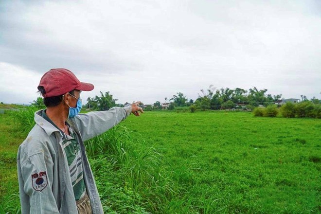 Bỏ hoang hàng chục hécta đất vì cao tốc Đà Nẵng - Quảng Ngãi