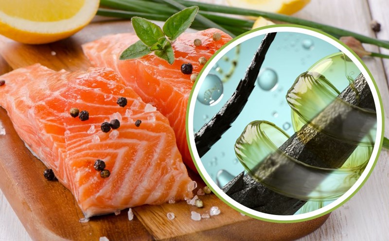 Salmon is good for hair. Graphics: Thanh Thanh