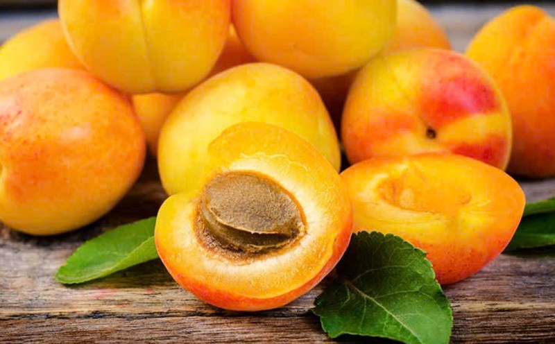A type of wind fruit that controls blood sugar. Graphics: Huong Giang