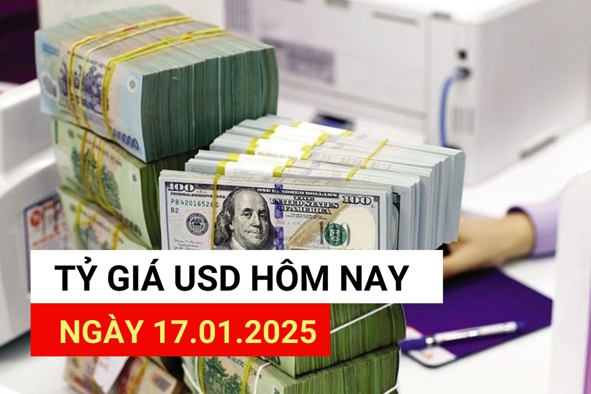 USD exchange rate today 17.1: Mixed fluctuations