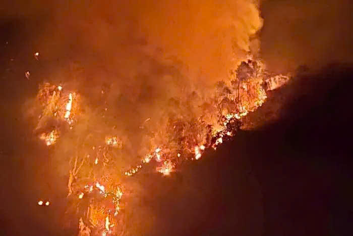Forest fire on the night of January 16 in Huu Lung district, Lang Son. Photo: Provided by local people